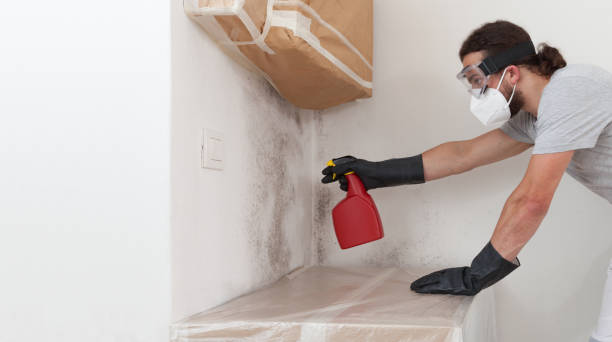 Professional Black Mold Removal technician working in Poolesville, MD